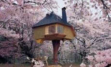 享受和亲人共度的生日幸福感受：让我们一起喜庆这舒适而又有意义的时刻！