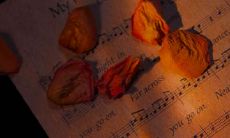 分享：拥有高情商且充满暖意的浪漫情话，让你的爱人感受满满的温暖与关爱