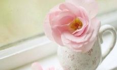 举世无双的、与众不同的、非同凡响的、无与伦比的、难以匹敌的好听情话短句，绝非平庸俗套！