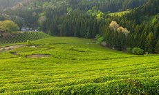 当外面下着阵阵雨，气温也开始逐渐降低——“下雨天，温馨问候”的长突破标题！