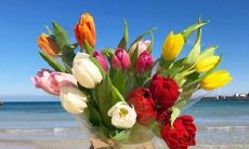 欣喜的时刻让我们欢喜无比的话语