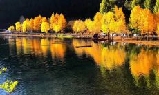 在这初秋的凉意中，送上一条温馨问候的降温短信吧