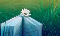 享受狗生的快乐时刻：一系列狗生开心可爱的句子