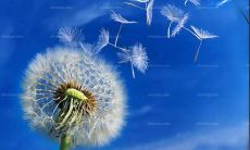 精选唯美简短友谊友情英文句子，传递真挚情感！