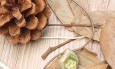 从伤痛走来的快乐句子——治愈心灵的语句