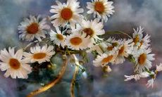 如何描述时间让我们忘却不愉快的事，恢复心情？分享几句化解烦恼的情感语句