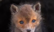 一路良善愉悦：具有愉悦氛围的路程所蕴含的句子