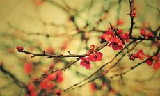 An Encouraging and Delightful English Phrase to Brighten Your Day with Happiness and Positivity!