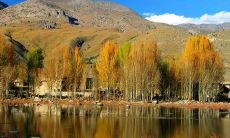 善意的话语能够带来积极的影响：一些鼓舞人心的正能量语句，可以激励你克服困难并思考积极的解决方案