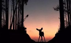 发送给你的每晚晚安心语，带给你蓬勃的生命力和积极的心态