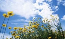 在群聊中享受欢乐时光：写下那些让你感到开心活跃的聊天语句