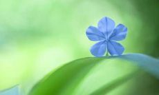 写开心的句子作文开头，让读者感到欣喜若狂的妙笔生花！