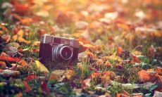 汇总男性励志名言警句，激励自我成长与进步