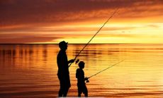 感人至深的亲情陪伴句子，说出内心真挚感受