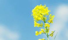 感恩美术老师：我的艺术启蒙、创造力探索和人生漫长旅程中永恒的指引和伴侣！