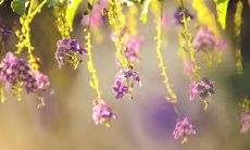 如何用温暖的话语打开别人的心扉？