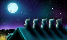 一篇关于表达中秋月亮美丽之句的精美文章