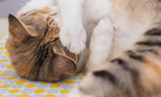 寻求快乐的乐句：如何让自己更开心？