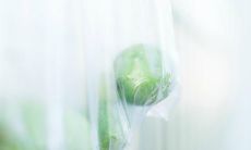 无论贫富皆可开心的妙语：幸福无关金钱，心态最重要