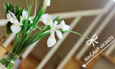 心灵美好的亲情话语：探讨关于家庭情感的婉转句子，感受亲情温暖的聚合力