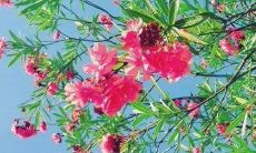 揭秘传销的四句口号，揭露其危害，助您避免踏入这一黑暗泥沼