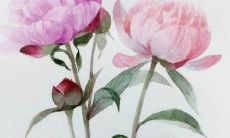 一组感动人心且唯美动人的关于亲情的句子