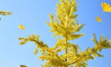 经典的帮助他人和友谊的句子，你不能不看！