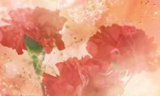 如何制作一张简短20字左右的母亲节贺卡呢？