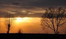 一系列描述思念家乡的感人句子，让你体味到远离故土所带来的思乡之情