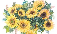 如何用积极的心态来保持开心并拥有开放的思维？