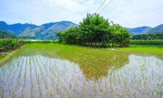 加强心态，保持正能量：鼓舞心情的励志句子，让每一天都充满阳光与希望