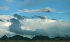 如何用一条短信问候婆婆的方法？