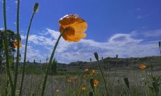 一份充满快乐与正能量的开心心情句子合集