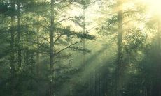 凝结十年以上深刻情感的珍贵话语：回忆亲情岁月的感人句子