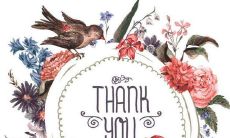 数不尽的感恩之情，倾情吐露的句子——用言语记录内心的感慨！