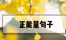 在每一个美好的早晨，通过积极鼓励，为自己注入正能量！