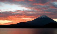 收集了所有销售问候语的完整短信指南