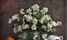 一个天真可爱、呆萌可掬的憨憨女孩在说说中展现出来的她独特的小短句风格