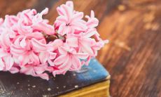 享受亲情温暖氛围的最佳方式——收集一份优美温馨的亲情句子大合集！