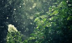 下雨天生病打击心情，心烦意乱的情感倾述