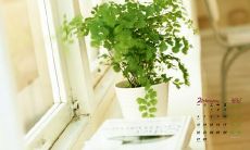 一些充满喜悦和幸福的句子，送给可爱的新生儿们，献上我们最美好的祝福与祝愿！让他们尽情享受生命的美好，拥有永远的快乐和幸福！