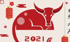 在牛年中如何使用吉祥语来增加好运？