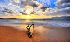 反思做出愚蠢行为的句子，感慨后悔并深刻检讨自身行为