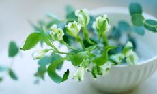 短而甜：心情愉悦的句子