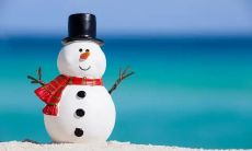 在寒冬中，心情的变化与冷空气一样动荡不安：从郁郁寡欢到欣喜若狂再到心情低落，一切都因天气变幻莫测而起伏不定