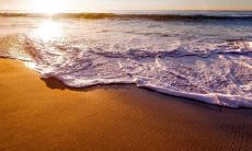 让你感到愉悦和快乐的句子，助您保持良好的心情和积极的态度！