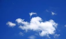 追寻开心与美好的生命信条：闪耀唯美的句子，让你尽情享受开心的甜蜜果实