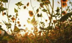 十分愉快的姐妹相聚！分享开心时刻的美好言语合集