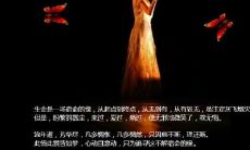 痛彻心扉的情感表达：掏心掏肺的爱，换来无尽伤痕的心碎句子