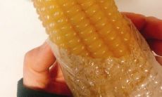 欣喜若狂！倾诉嘉人生之乐趣，再抒开怀畅快之情感